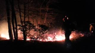 How To suppress fire with a leaf blower