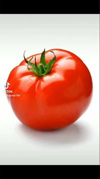 repoi tomate cenoro