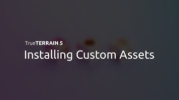 TrueTERRAIN 5 | Custom Assets