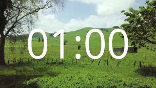 1 Minute Timer with Alarm Bell - Acoustic Guitar
