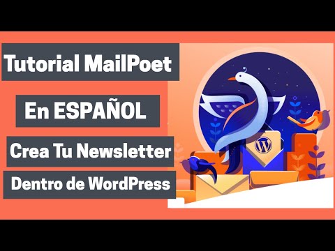 Cómo gestionar las suscripciones a boletines de correo electrónico en Gmail - Video