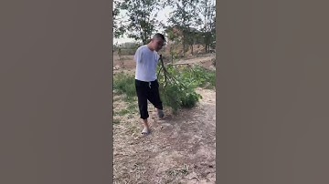 Video đầy nghị lực phi thường trong cuộc sống❤️ #recpect #recpect #456