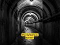 The Hidden Death Tunnels of Stalin — Political Murders Exposed #history