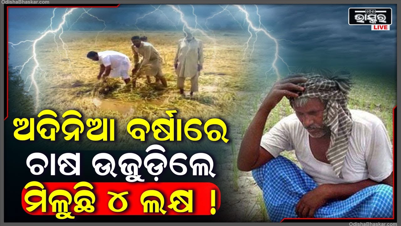 ଅଦିନିଆ ବର୍ଷାରେ ଯଦି ଆପଣଙ୍କ ଚାଷ ଉଜୁଡି ଯାଇଛି, ତାହେଲେ ଚିନ୍ତା କରିବାର ନାହିଁ କାରଣ ସରକାର ଦେଉଛନ୍ତି ୪ ଲକ୍ଷ!
