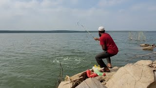 Best SINGLE HOOK FISHING in Deep water |Fisher Man Catching in Rohufish in river|BEST HOOK Fishing|