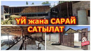 Тез арада Мал САРАЙ жана ҮЙ сатылат  |  Алган адам ыраазы болот