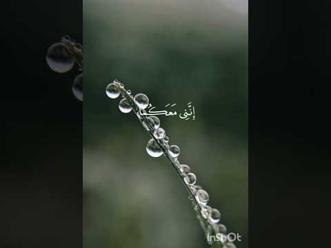 احس الفيديو حلوووو لأن ما بي متبرجات