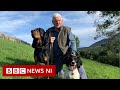 The rescue dog trainer proving pet dogs can sniff out epileptic seizures - BBC News NI