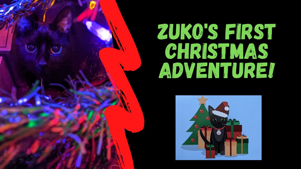 Zuko's First Christmas Adventure!