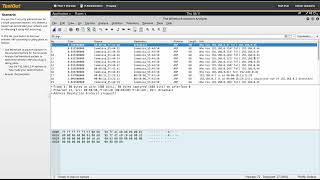 12.6.4Poison ARP and Analyze with Wireshark
