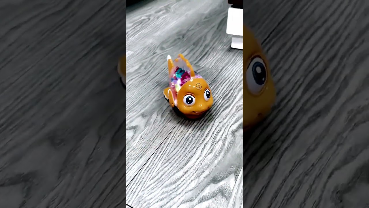 Transparent Gear Fish