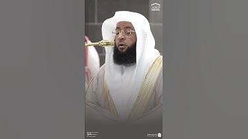 صدر سورة البلد ~ تلاوة الشيخ بدر التركي