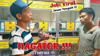 Download lagu NAGATOR JUARA 1 TEAM PUTRA LAPAN JAKARTA ‼️ KOLEKSI 30 PASANG BURUNG MEWAH‼️ JIWOOD (JITU KENWOOD)