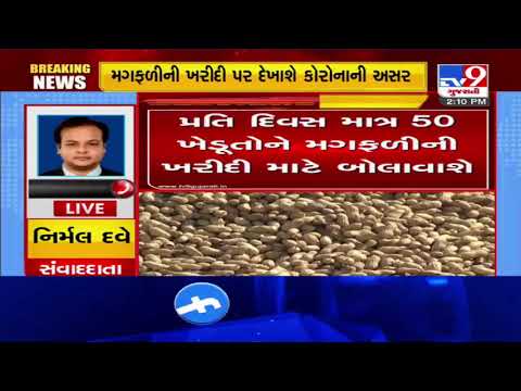 Coronavirus crisis : Now, authority will call only 50 farmers for groundnut procurement |Tv9Gujarati