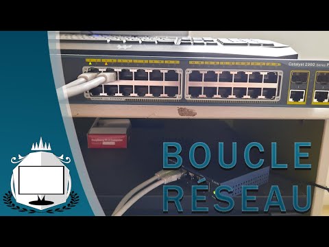 Comprendre la Boucle de Connexion sur Stake casino