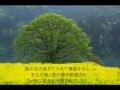 写真の秘訣 ★アングルと構図