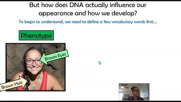 Intro to Mendelian Genetics (AP Biology 5.3)