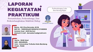 Laporan Kegiatan Praktikum| Pertumbuhan, Perkembangan, Dan Perkembangbiakan Lalat dan Kacang Hijau