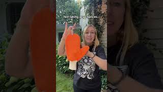 The tick mitt finds and removes loose ticks before they bite