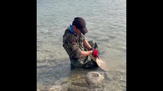 Catch &amp; Release BIG Stingray || Fishing Adventure