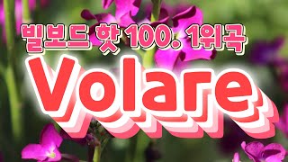 Volare 웅산교수?빌보드1위5회?송년행사