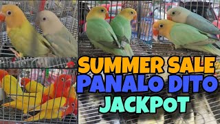 GRABE SA SALE KAY BOSS MARVIN MURA NA PINAMURA PA LALO JACKPOT TO #africanlovebird #lovebird #birds