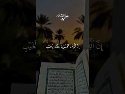 و ق ال وا ل و ك ن ا ن س م ع أ و ن ع ق ل م ا ك ن ا ف ي أ ص ح اب الس ع ير سورة الملك
