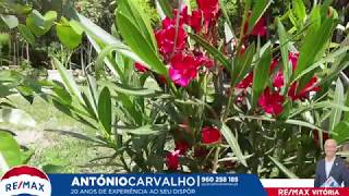 Moradia - Arões (São Romão), Fafe - António Carvalho - Remax Vitória - ID:121751118 166