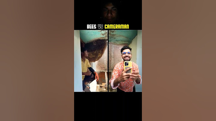 Bee's vs cameraman❤🧚#shorts