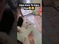 Hatt 😂😂😂 #cat #shorts #funny #tomandjerry #shortsfeed #trending