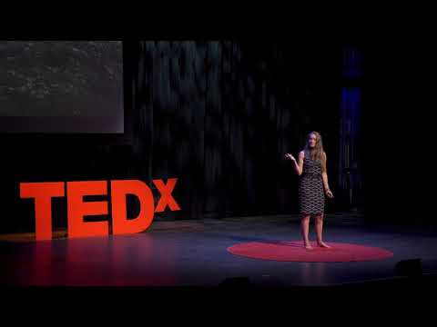 The Rights of Nature | Kat Houghton | TEDxAsheville