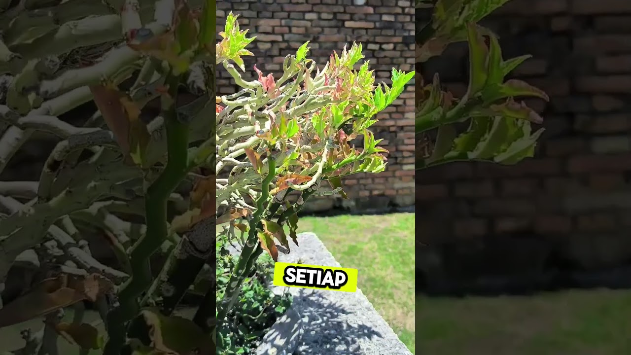 BINAAN DULU-DULU MEMANG PADU... #bahandanbinaan #construction #ILoveCivilEngineering