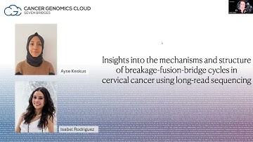 Insights into the mechanisms and structure of breakage-fusion-bridge cycles in cervical cancer