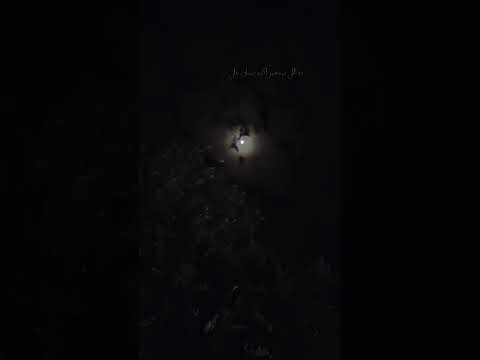 يهمك في ايه