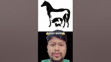 Riddle Illusion #riddlechallenge #shortvideo #riddles