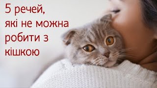 5 Речей, Які Не Можна Робити З Кішкою 5 Things You Can't Do With A Cat