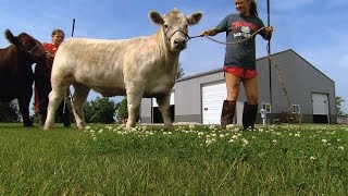 4H Family Roots | Iowa State Fair 2015