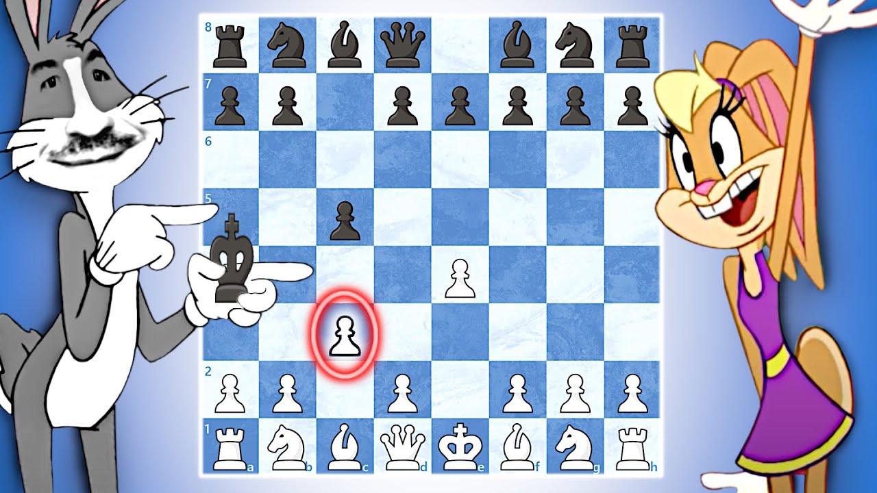 Tous les SECRETS de l'ALAPINE !