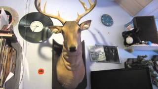 Buck The Singing Deer Sings Do You Remember