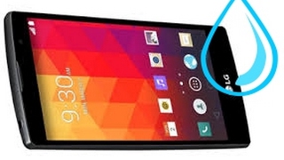 LG H502F после попадания влаги - не работает дисплей, камеры