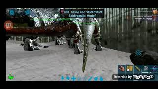 Ark Mobil Hayvan Çiftleştirme