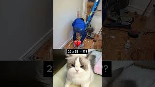 This Simple Math Question Tricks Everyone 😂 #respect #respect100 #catmeme #cat #respecta #funny