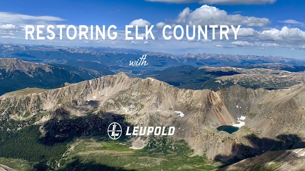 Restoring Elk Country - Arapaho National Forest CO