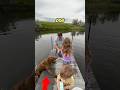 Why DidnтАЩt He HELP His DOG ЁЯШВ Shorts Why DidnтАЩt He HELP His DOG ЁЯШВ Shorts