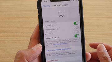iPhone 11 Pro: How to Enable / Disable Face ID For iTunes & App Store