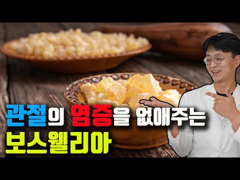 무릎, 어깨 관절이 아프신분! 이 영양제를 드시면 통증이 사라집니다.!천연 진통제 보스웰리아란? ( 보스웰리아의 흡수율 높이는 복용법, 제품 선택법, 부작용?)