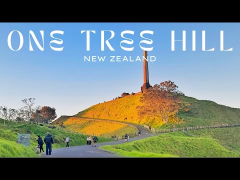 Sunset Walk to One Tree Hill Auckland | Meet the Sheep & Cows on the Way!