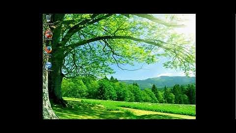 Kali Linux  How To Use SSLstrip   Sniffing Passwords