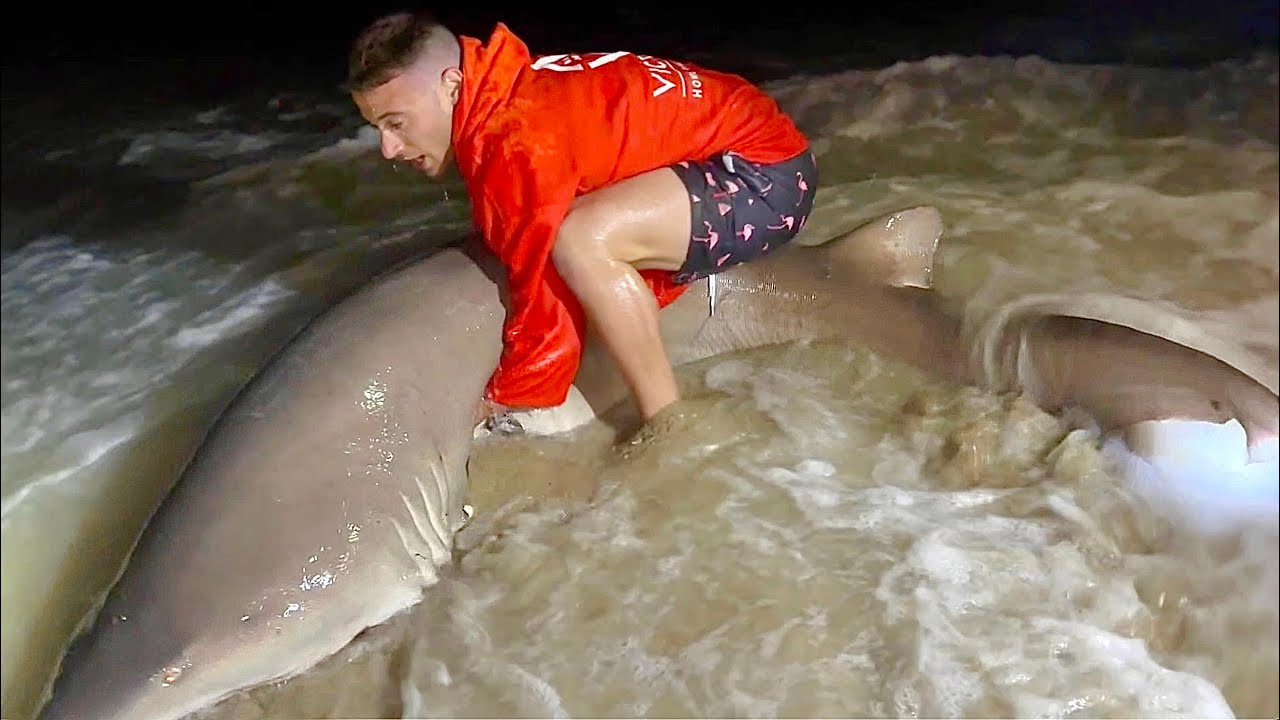 Shark Fishing at the Jersey Shore