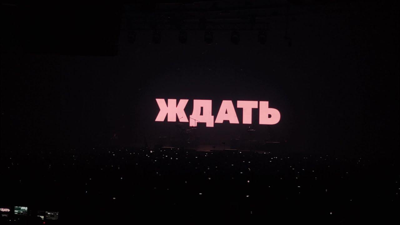 Стук 2025. Стук 2025